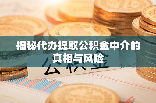 钢城揭秘代办提取公积金中介的真相与风险