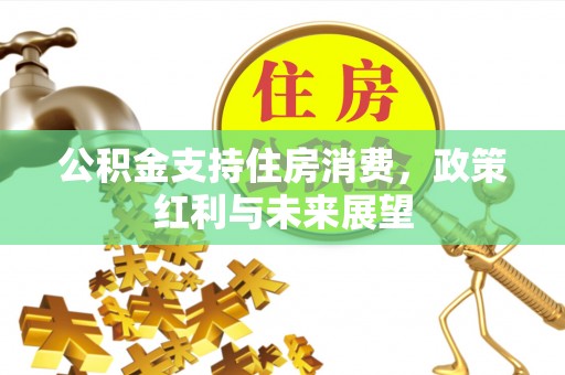 钢城公积金支持住房消费，政策红利与未来展望
